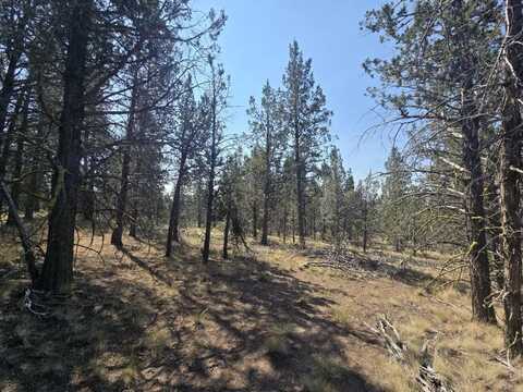 Off Moccasin Lane, Sprague River, OR 97639