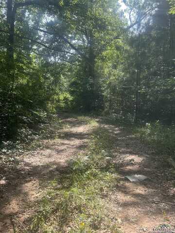 6758 St Hwy 147 South, San Augustine, TX 75972