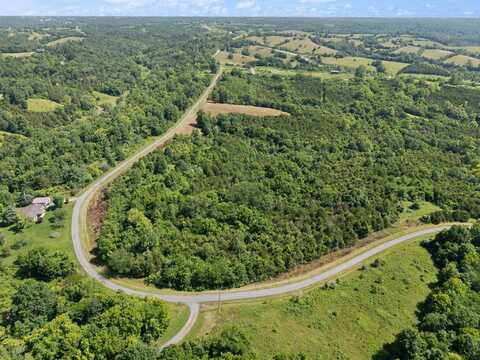 0 Mann Road, Mount Olivet, KY 41064