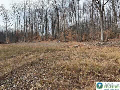 470 Persimmon Lane, Mount Bethel, PA 18343