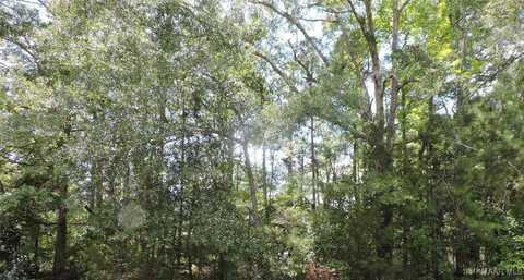 0 Ridge Road, Greenville, AL 36037