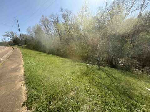 TRACT 2 W MAIN, Adamsville, TN 38310