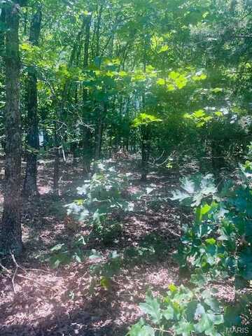 0 Villa Vista Drive, Owensville, MO 65066