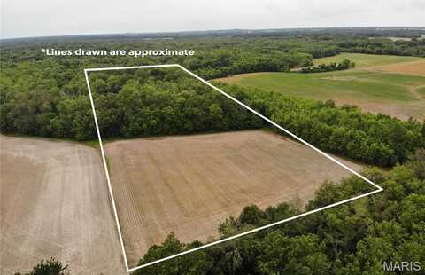 0 Basen Rd, Centralia, IL 62801