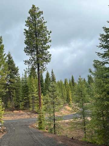 27 Sawtooth Loop lot: 23, Cascade, ID 83611