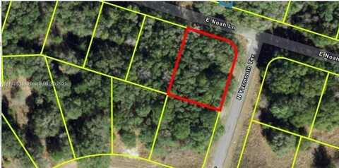 684 E Noah Ln, Citrus Springs, FL 34434