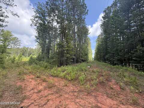 TBD Highway 87, Forsyth, GA 31029