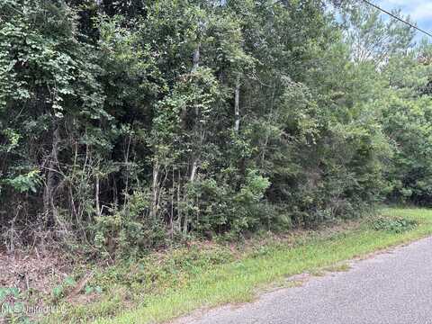 Dailey Road, Gautier, MS 39553
