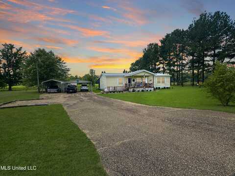 899 Harrisville Braxton Rd Road, Braxton, MS 39044