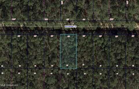 0 Naseberry Street, Bay Saint Louis, MS 39520
