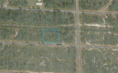 3507 FINCH AVENUE, LAKE PLACID, FL 33852