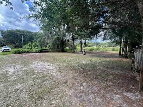 NE LOT 31 241 AVENUE, SALT SPRINGS, FL 32134