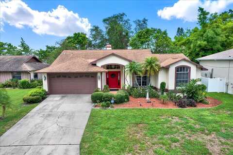 10732 DRUMMOND ROAD, TAMPA, FL 33615