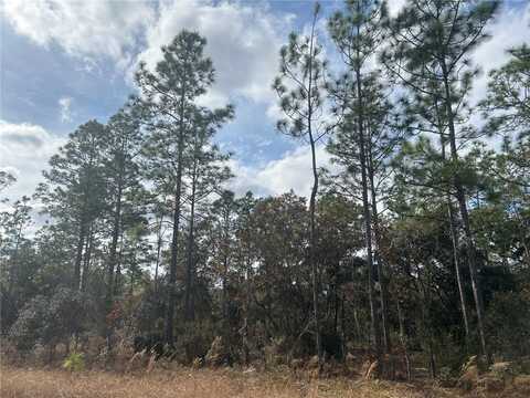 Tbd NE 149TH COURT, WILLISTON, FL 32696