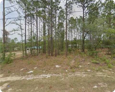 1561 W GAINSBORO LANE, CITRUS SPRINGS, FL 34434