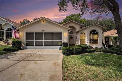 371 QUANE AVENUE, SPRING HILL, FL 34609
