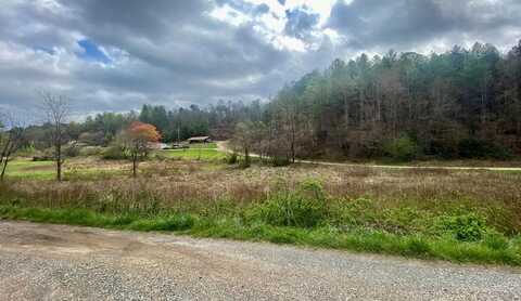 TBD Fall Branch, MURPHY, NC 28906