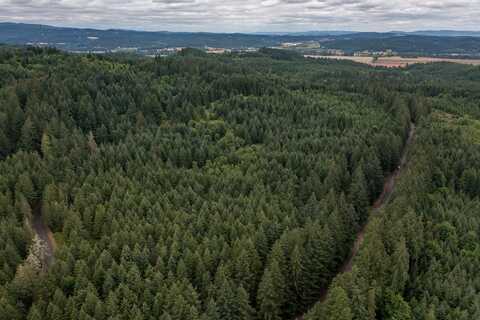 0 McTimmonds Road, Dallas, OR 97338