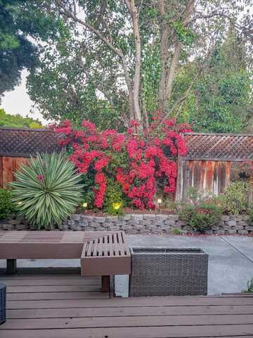 1924 Meridian AVE, SAN JOSE, CA 95125