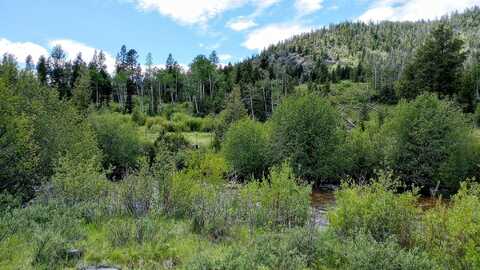 Moose Lake Road lot: 1, Philipsburg, MT 59858