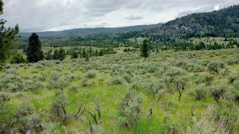 NHN Moose Lake Road lot: 2, Philipsburg, MT 59858
