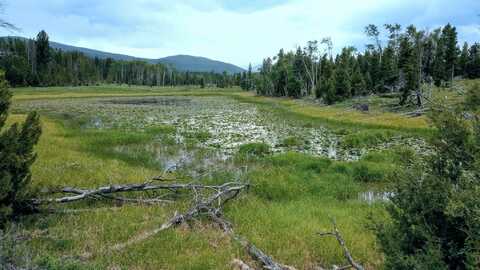 NHN Moose Lake Road lot: 3, Philipsburg, MT 59858