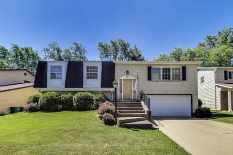 221 Anthony Road, Buffalo Grove, IL 60089