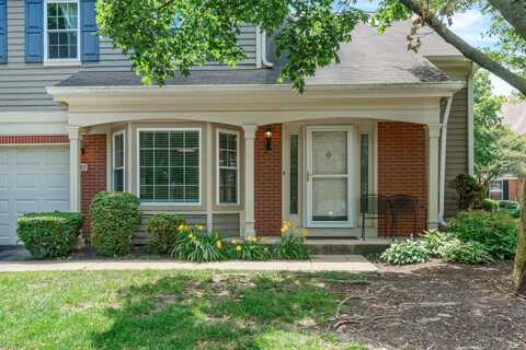 223 New Bridge Court, Palatine, IL 60067