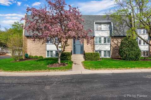 2109 Ammer Ridge Court, Glenview, IL 60025