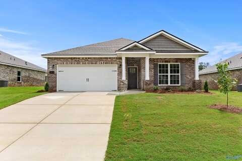 169 River Pointe Drive, New Market, AL 35761