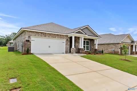 169 River Pointe Drive, New Market, AL 35761