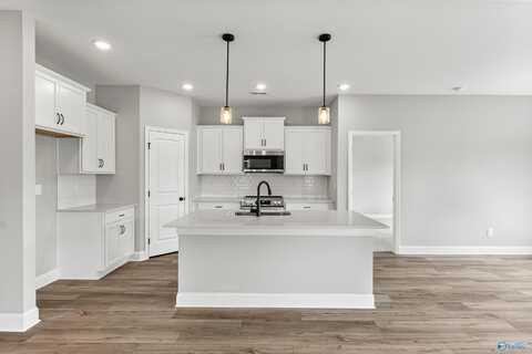 169 River Pointe Drive, New Market, AL 35761