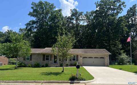 110 Laurel Oak Road, Huntsville, AL 35811
