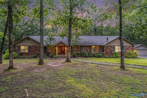 4411 Autumn Leaves Trail SE, Decatur, AL 35603