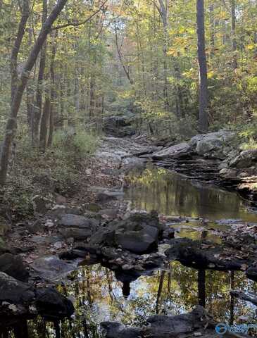Lot Bear Creek Circle, Oneonta, AL 35121