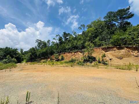 21.85 Acres Tar Kil Road, Eva, AL 35621