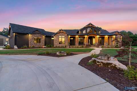 1450 Elkwood Section Road, Hazel Green, AL 35750