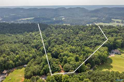 50 Acres Scenic Highway, Attalla, AL 35954