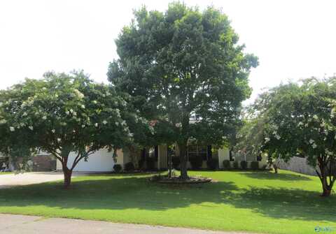 105 Royalty Court, Meridianville, AL 35759