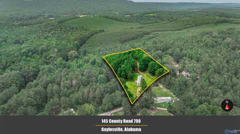 151 County Road 790, Gaylesville, AL 35973