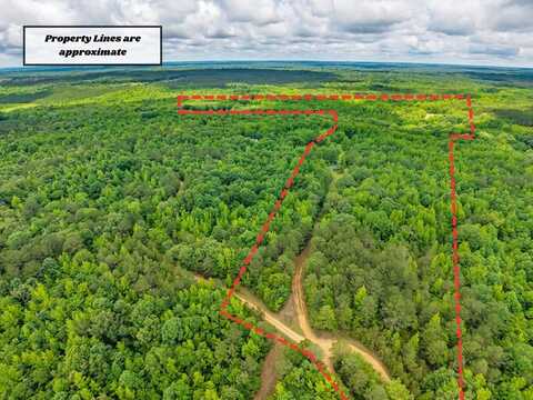 1241 County Road 92, Water Valley, MS 38965
