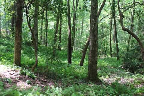 Lot 25 Shelton Springs Drive, Hayesville, NC 28904