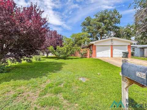 1208 Bryan Circle, Carlsbad, NM 88220
