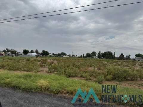 1329 Crabb Street, Carlsbad, NM 88220