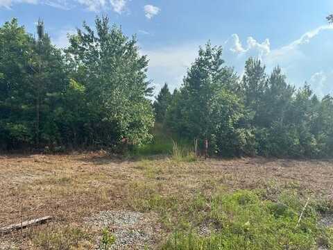 15.75 AC Rock Spring Rd, Center Cross, VA 22437