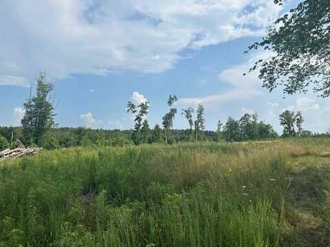 44 ac Rock Spring Rd, Center Cross, VA 22437