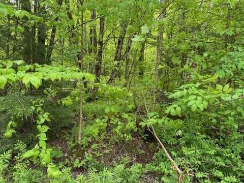 76 Wimble Road, Fairfax, VT 05454