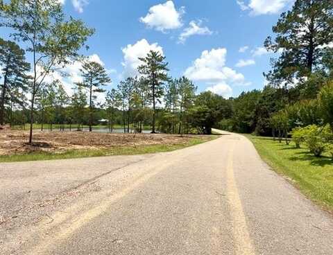 LOT 110 HAMMERSTONE Drive, Franklinton, LA 70438