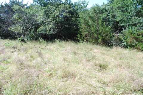 1306 Overlook Drive, Whitney, TX 76692