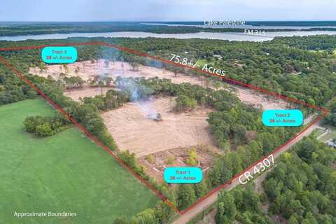 Tract 2 - Tbd County Road 4307, Larue, TX 75770